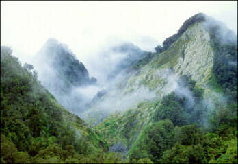 A stunning photo of a forested mountain.